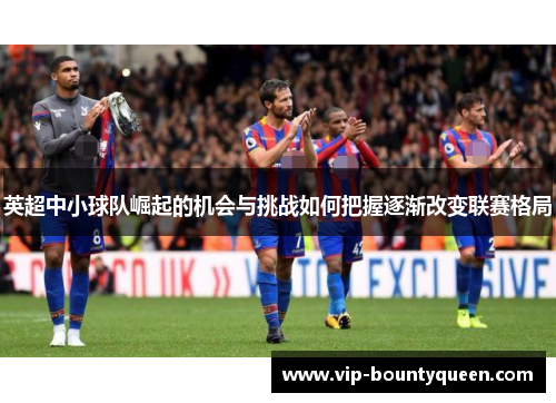 英超中小球队崛起的机会与挑战如何把握逐渐改变联赛格局 英超中小球队崛起的机会与挑战如何把握逐渐改变联赛格局